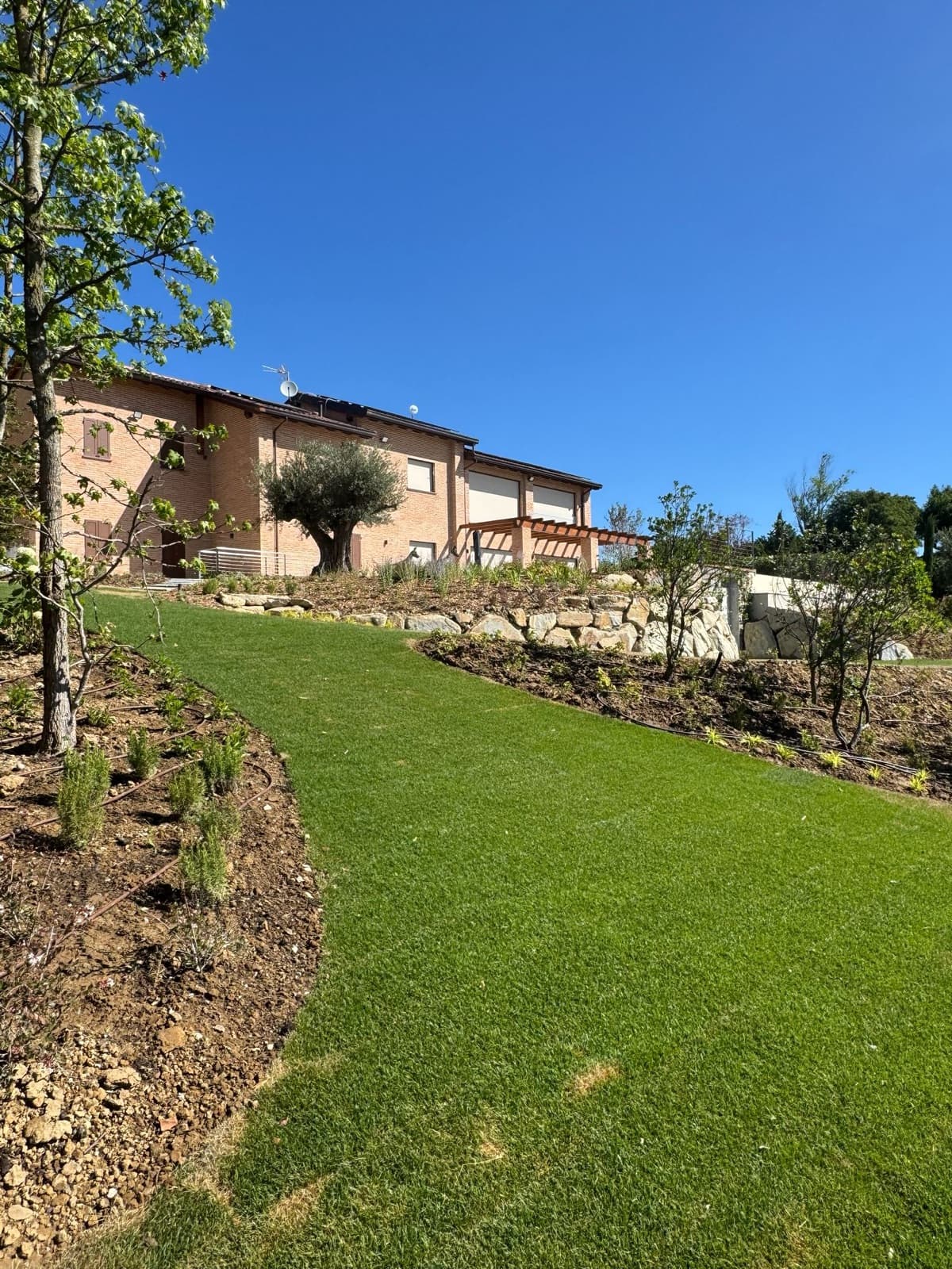 Casa rurale con pergolato · vista 4